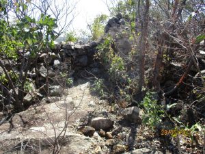 STONE WALLING AT FORT HILL
(Photo by C. Castelin taken during the HSZ Outing to Hartley Hills on 28 May 2017)