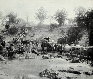 ELLERTON -FRY PHOTO – “PIONEER” WAGONS CROSSING A DRIFT IN 1890 (Photo from Dr. Charles Waghorn's talk "A Veterinary History of this country - 1890s to the Present”)