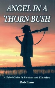 Angel in a Thorn Bush by Rob Fynn