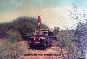 Searching for a way through the bush
